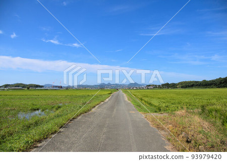 Rural scenery of Itoshima Autumn Rural scenery of Itoshima Autumn 93979420