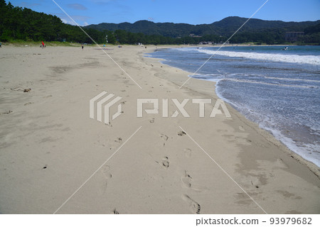 Yumigahama Beach in Izu with beautiful sandy beaches Yumigahama Beach in Izu with beautiful sandy beaches 93979682