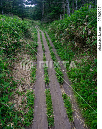 Tsuboniwa Nature Park Promenade 93980974