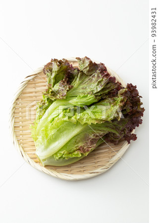 濾鍋白色背景中的陽光生菜 濾鍋白色背景中的陽光生菜 93982431