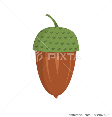 Acorn icon. Brown forest plant or nut 93982898