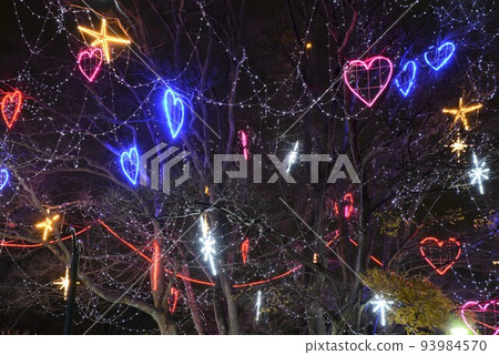 National park illumination 93984570