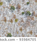 winter, snow on the branches of a tree, patterns 93984705