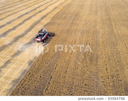 Combines mow wheat in the field.Agro-industry.Combine Harvester Cutting on wheat field.Machine harvest wheat.Harvesting of grain crops.Harvesting wheat,oats and barley in fields,ranches and farmlands Combines mow wheat in the field.Agro-industry.Combine Harvester Cutting on wheat field.Machine harvest wheat.Harvesting of grain crops.Harvesting wheat,oats and barley in fields,ranches and farmlands 93984786