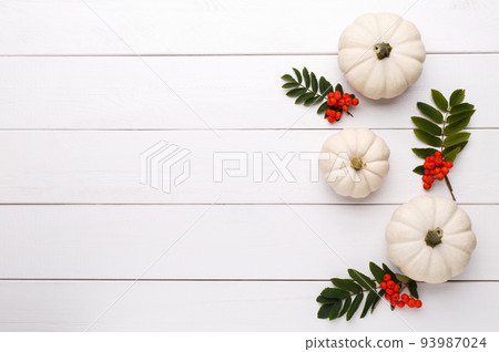 White decorative pumpkins White decorative pumpkins 93987024