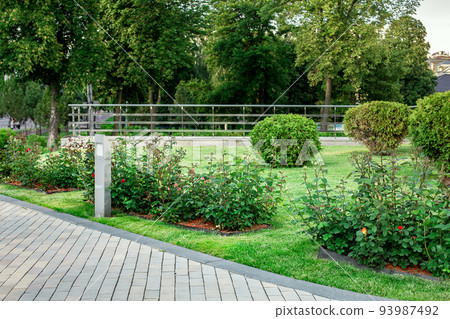 led lamppost of ground garden lantern with roses flowers in backyard with mulch flower bed and green lawn landscape near stone tile walkway with granite curb and steel railings in background, nobody. 93987492