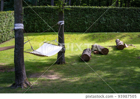 empty pendant hammock in trees on green lawn in park near thuja bushes hedge. Rest relax on hammock swing in summer sunny garden with meadow with logs, nobody. empty pendant hammock in trees on green lawn in park near thuja bushes hedge. Rest relax on hammock swing in summer sunny garden with meadow with logs, nobody. 93987505
