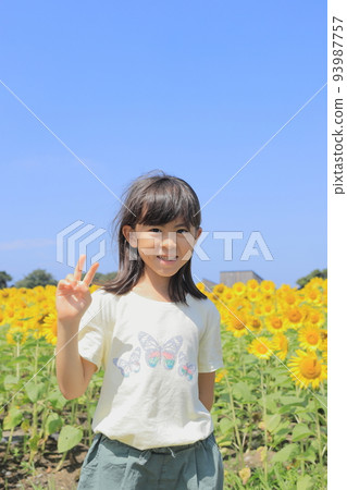 Elementary school girl (7 years old) and sunflower field Elementary school girl (7 years old) and sunflower field 93987757