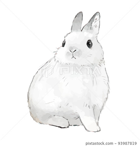 白兔手繪風格插畫 白兔手繪風格插畫 93987819