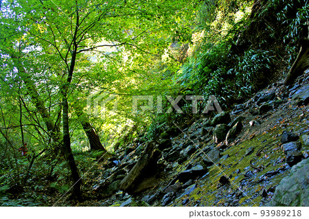 [Tokyo] Mt. Takao in autumn, the stream in front of trail 6 93989218