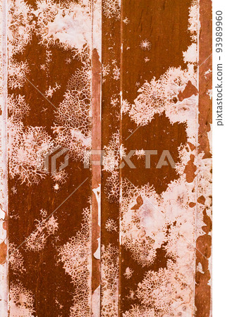 fungus metal background 93989960