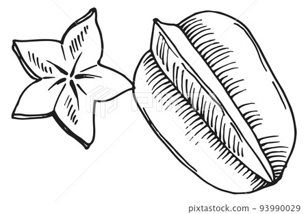 Star fruit engraving. Exotic sweet carambola sketch Star fruit engraving. Exotic sweet carambola sketch 93990029