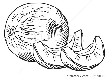 Whole melon and fruit slices. Hand drawn sketch 93990096