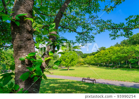 Fresh green peace park <Nagoya City, Aichi Prefecture> Fresh green peace park <Nagoya City, Aichi Prefecture> 93990254