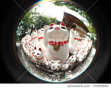 Lucky Cat Lucky Cat 93990600