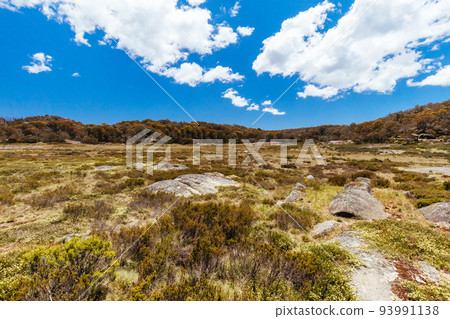 Mt Buffalo's Tuckerbox Corner in Victoria Australia 93991138