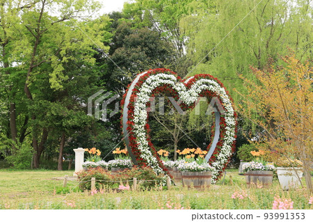 Funabashi Andersen Park flower bed scenery Funabashi Andersen Park flower bed scenery 93991353