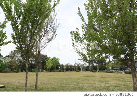 Scenery of Andersen Park Lawn Square in Funabashi City Scenery of Andersen Park Lawn Square in Funabashi City 93991365