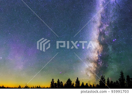 Conifers and the Milky Way Conifers and the Milky Way 93991703