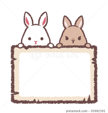 White rabbit and netherland dwarf and wooden frame 93992391