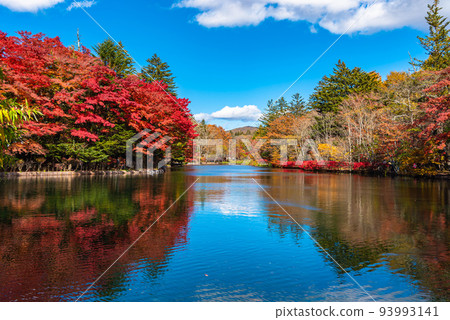 雲場池、紅葉、輕井澤、最佳觀賞時間 93993141