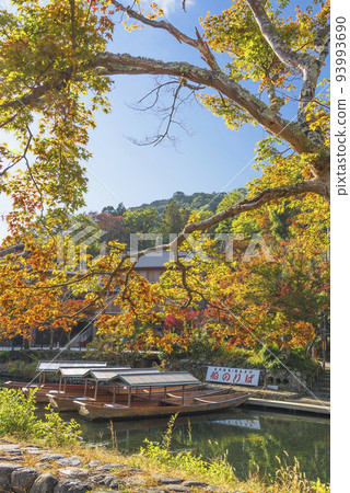 Arashiyama in autumn, if you take a pleasure boat Arashiyama in autumn, if you take a pleasure boat 93993690