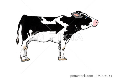 cow arrow pointing right 93995034