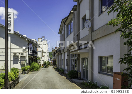 Yoshioka Onsen, a hot spring town in Tottori City, Tottori Prefecture 93995388