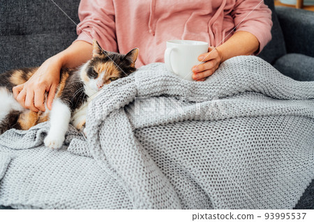 Close-up woman in a plaid drinking hot tea, petting a relaxed cat on the sofa at home. Cozy and comfortable winter or autumn weekends. Pleasant ways to keep warm. Take a break and relax. 93995537