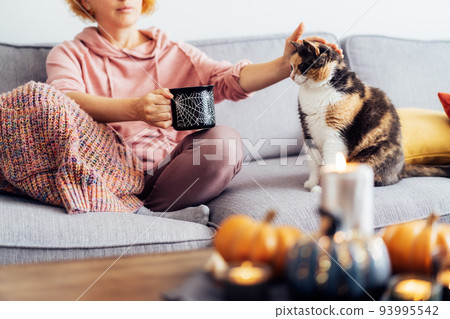 Cropped woman in plaid drinking hot tea from Halloween theme mug and stroking multicolored cat on the sofa at home. Cozy and comfortable autumn holidays concept. Rest and relax. Selective focus. Cropped woman in plaid drinking hot tea from Halloween theme mug and stroking multicolored cat on the sofa at home. Cozy and comfortable autumn holidays concept. Rest and relax. Selective focus. 93995542
