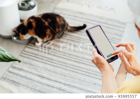 Female hands holding smartphone and using application to control cat food dispenser. Cat eating from smart feeder in cozy home interior on background. Home life with a pet. Healthy pet food diet. 93995557