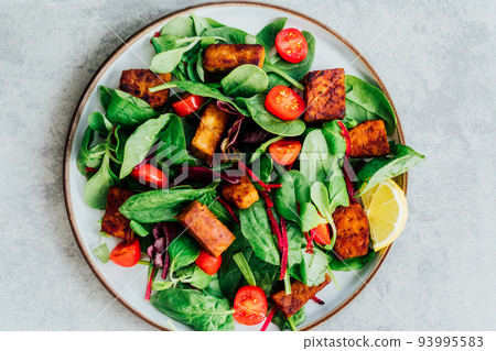 Top view healthy salad with roasted tempeh, cherry tomato, beetroot straws, spinash and lettuce leaves on plate. Tempeh is fermented soy bean. Plant based protein. Healthy Cooking and eating. Go vegan Top view healthy salad with roasted tempeh, cherry tomato, beetroot straws, spinash and lettuce leaves on plate. Tempeh is fermented soy bean. Plant based protein. Healthy Cooking and eating. Go vegan 93995583