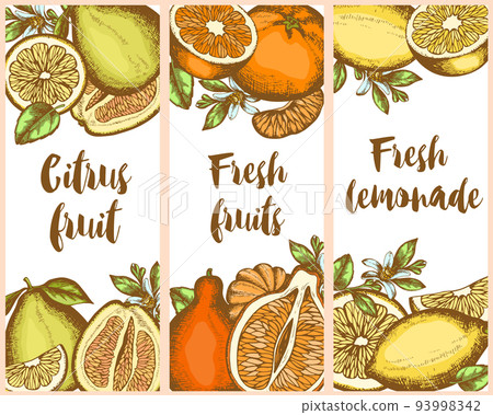Vintage vertical labels with citrus fruits 93998342
