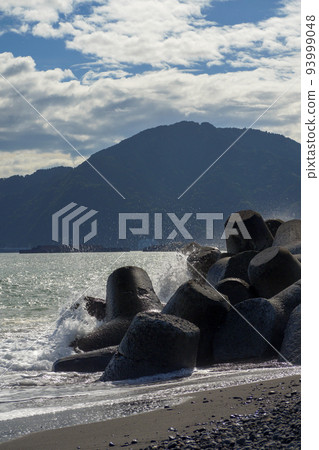 在靜岡廣野海灘看到的四足動物的強烈海浪濺起 在靜岡廣野海灘看到的四足動物的強烈海浪濺起 93999048
