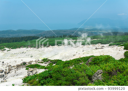 fumarole field on the slope of Mendeleev volcano on Kunashir island overlooking the ocean in the haze 93999120