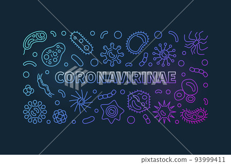 Vector Coronavirinae concept linear colorful horizontal banner Vector Coronavirinae concept linear colorful horizontal banner 93999411