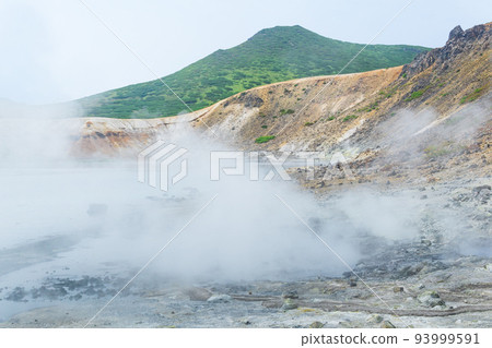steaming hydrothermal outlet on the shore of the hot lake in the caldera of the Golovnin volcano on the island of Kunashir 93999591