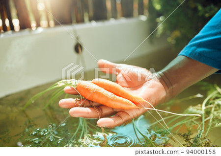 Farm, agriculture or sustainability with a farmer cleaning food, fresh vegetables or carrots in harvest season. Sustainable plants and green nutrition in the hand of a person in the farming industry 94000158