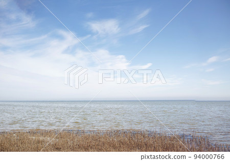 Copyspace with landscape of ocean and dry grassland in Kattegat in Denmark against a blue sky background. Tufts of reeds growing along the shore. Scenic seaside to explore for travel and tourism 94000766
