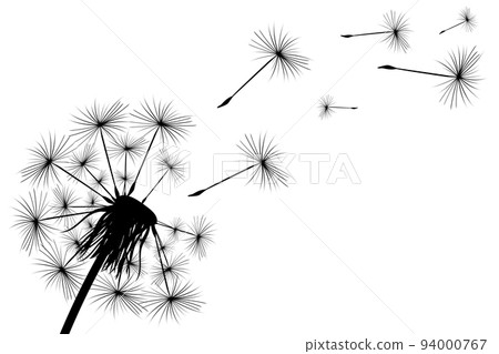 Dandelion fluff flies away from the wind. 94000767