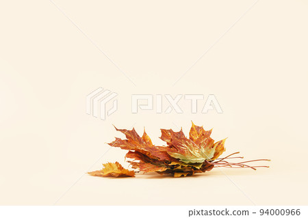 red maple leaves. Fall autumn minimal background red maple leaves. Fall autumn minimal background 94000966