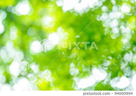 Ball bokeh/round bokeh (trees in the forest) Ball bokeh/round bokeh (trees in the forest) 94000994