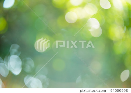 Ball bokeh/round bokeh (trees in the forest) 94000998