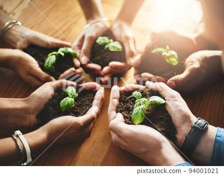 Hands holding fresh green plants in circle huddle for healthy growth, organic planting or sustainable development. Closeup of diverse group of environmental scientists with net zero carbon footprint Hands holding fresh green plants in circle huddle for healthy growth, organic planting or sustainable development. Closeup of diverse group of environmental scientists with net zero carbon footprint 94001021