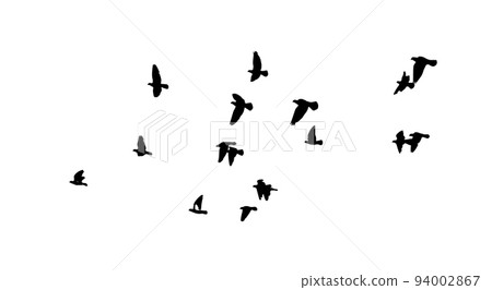 A flock of flying birds. Free birds. Vector illustration A flock of flying birds. Free birds. Vector illustration 94002867