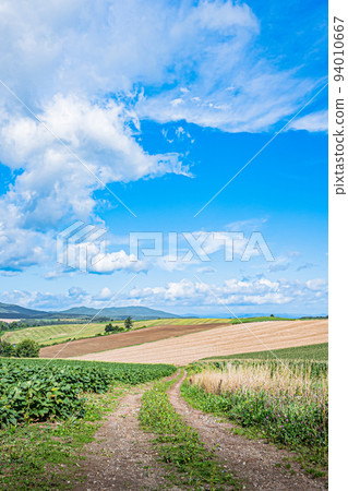 Scenery of Biei 94010667