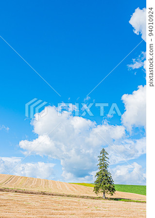 Scenery of Biei 94010924