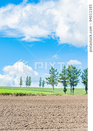 Scenery of Biei 94011385