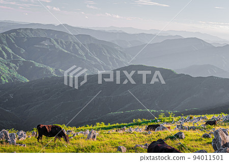 四國岩溶高原景觀 94011501