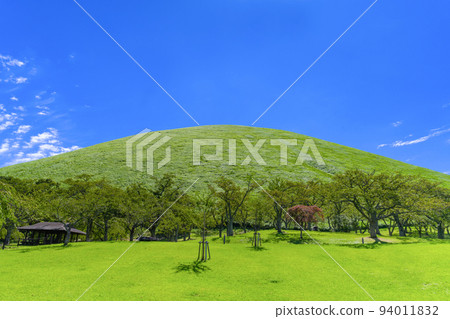 靜岡縣伊東市大室山夏櫻村 靜岡縣伊東市大室山夏櫻村 94011832